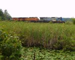 Grain Train on the NEMCO Loop